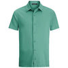 Color Light Green