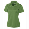 Color Light Green