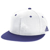 Color Purple