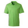 Color Light Green