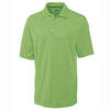 Color Light Green