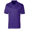 Color Purple