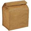 Bullet Brown Brown Paper Bag 6-Can Lunch Cooler