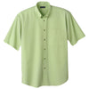 Color Light Green