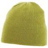 Color Light Green